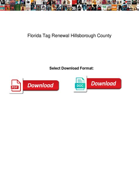 hillsborough county license renewal|hillsborough county tag renewal appointment.